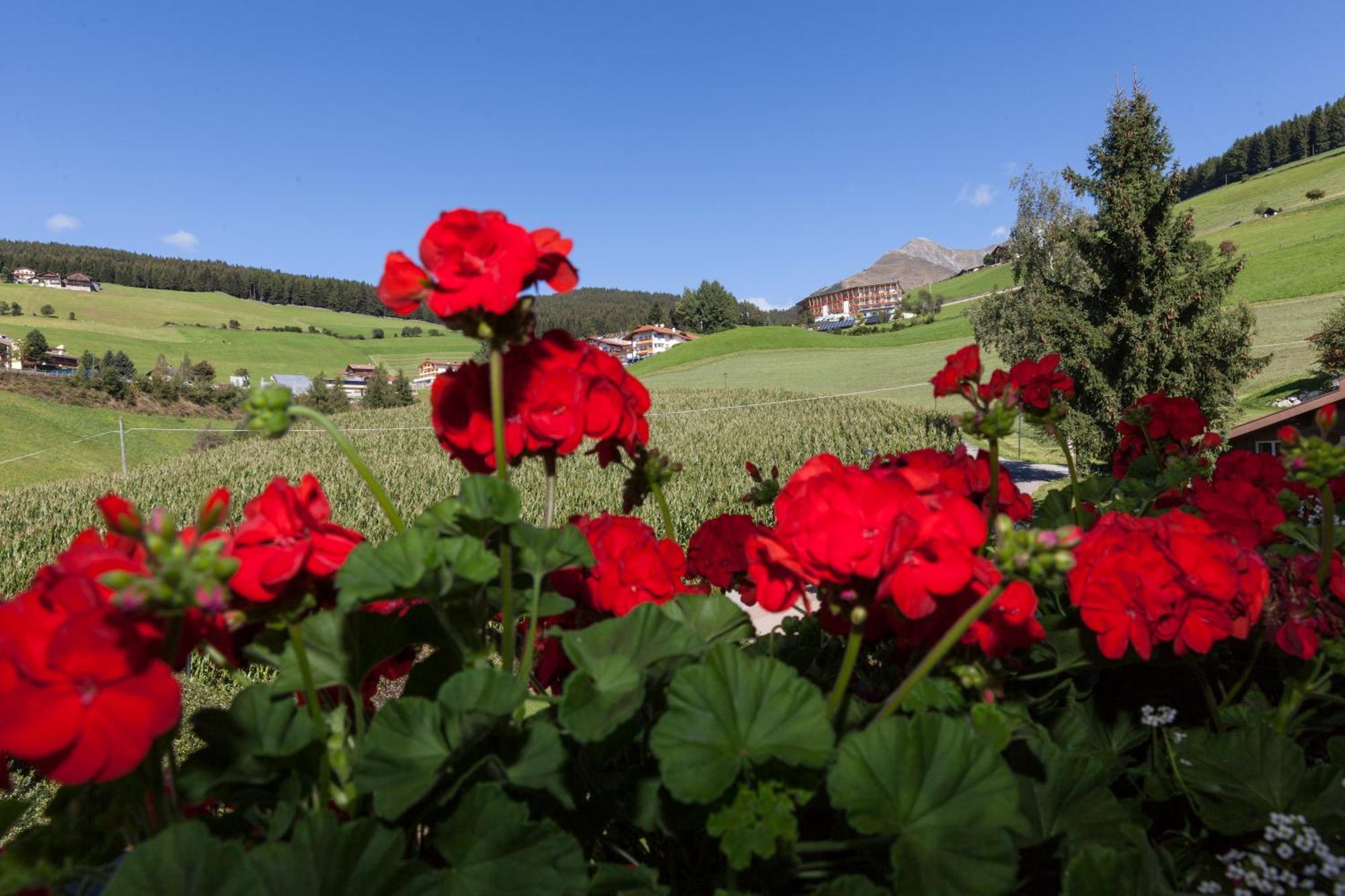 Hotel Bacherhof Maranza Kültér fotó