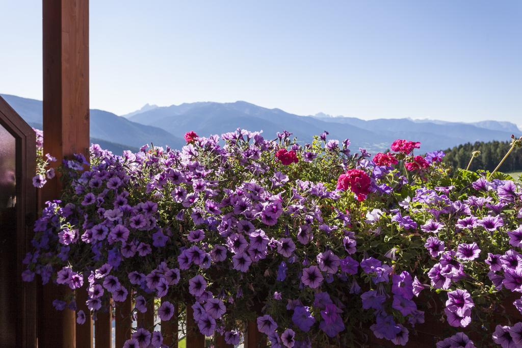 Hotel Bacherhof Maranza Kültér fotó